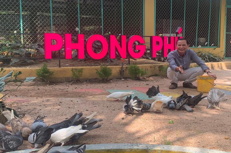 Mô hình nuôi chim bồ câu ở Đông Hưng đơn giản và hiệu quả  Báo Thái Bình  điện tử