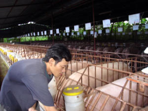 US$5 million supported Dong Nai for LIFSAP project