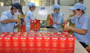 Busily preparing products for Tet holiday