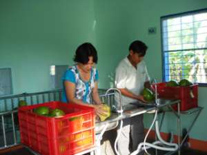 Build up agricultural product brand: learn experience from Cooperatives