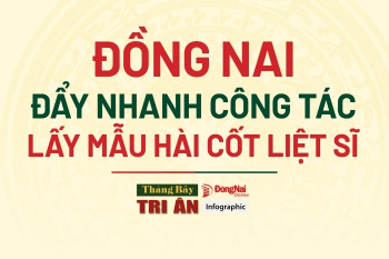 [Chuỗi Infographic] Tháng Bảy tri ân: Đồng Nai đẩy nhanh...