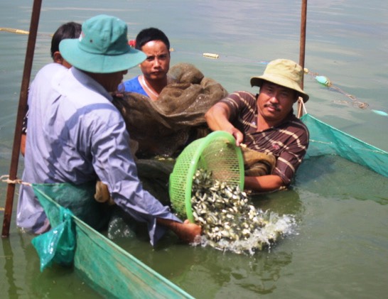 27.4-H2- Đn phát triển chăn nuôi.jpg