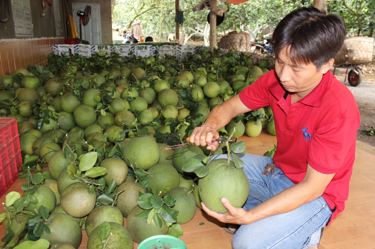 04.05- H1 Đảm bảo an ninh lương thực.jpg