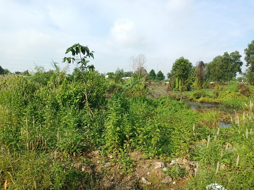 anh 1 -04092020.jpg