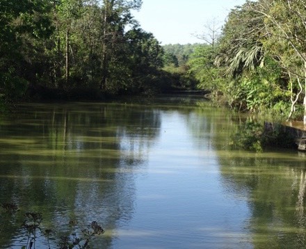 s.buong.jpg