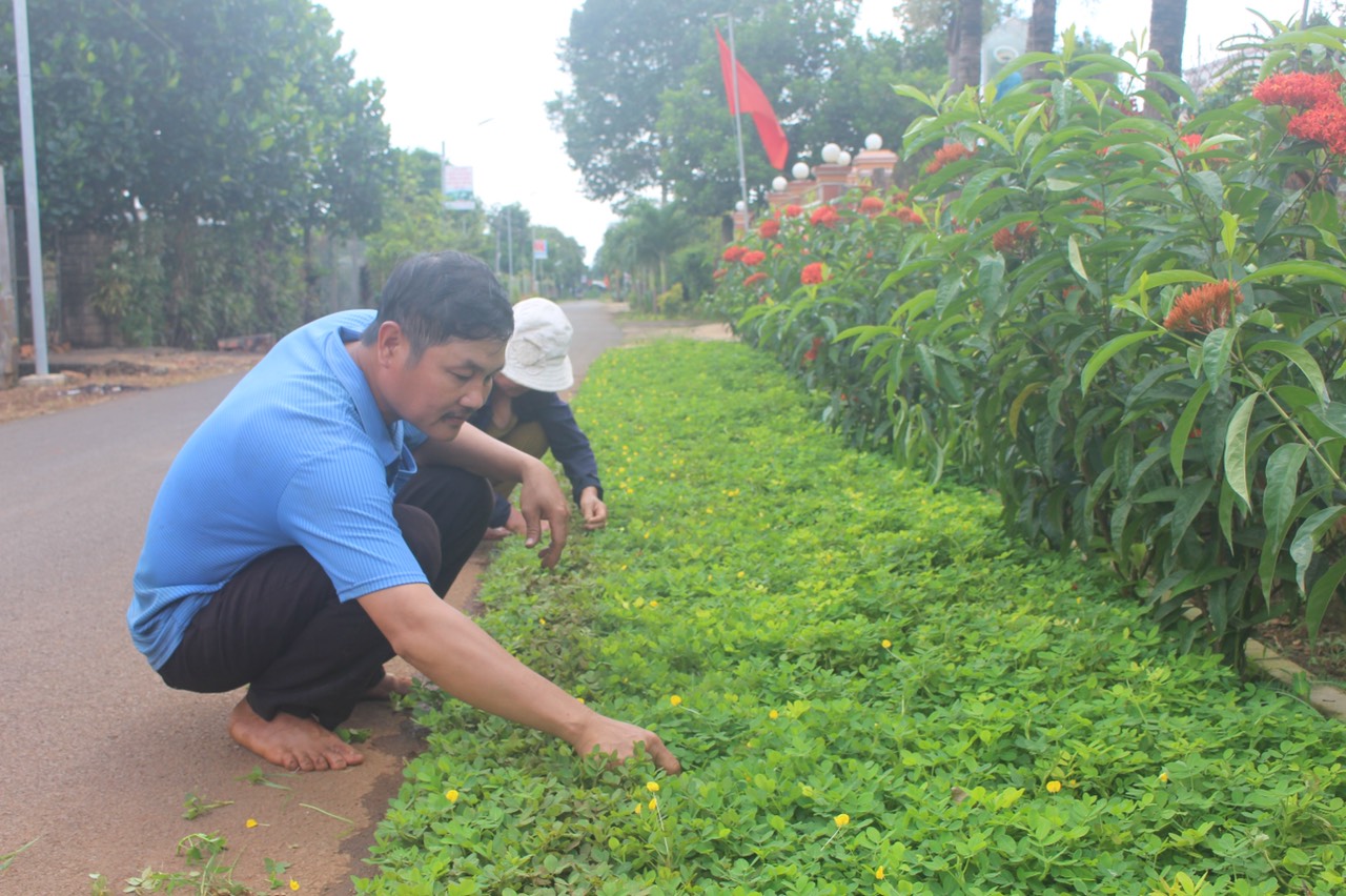 hinh anh 1 - 25-9-2020.jpg