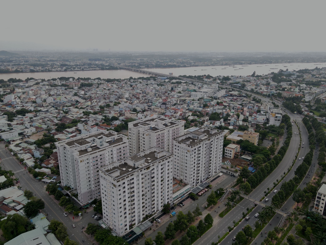 cd5-2.jpg