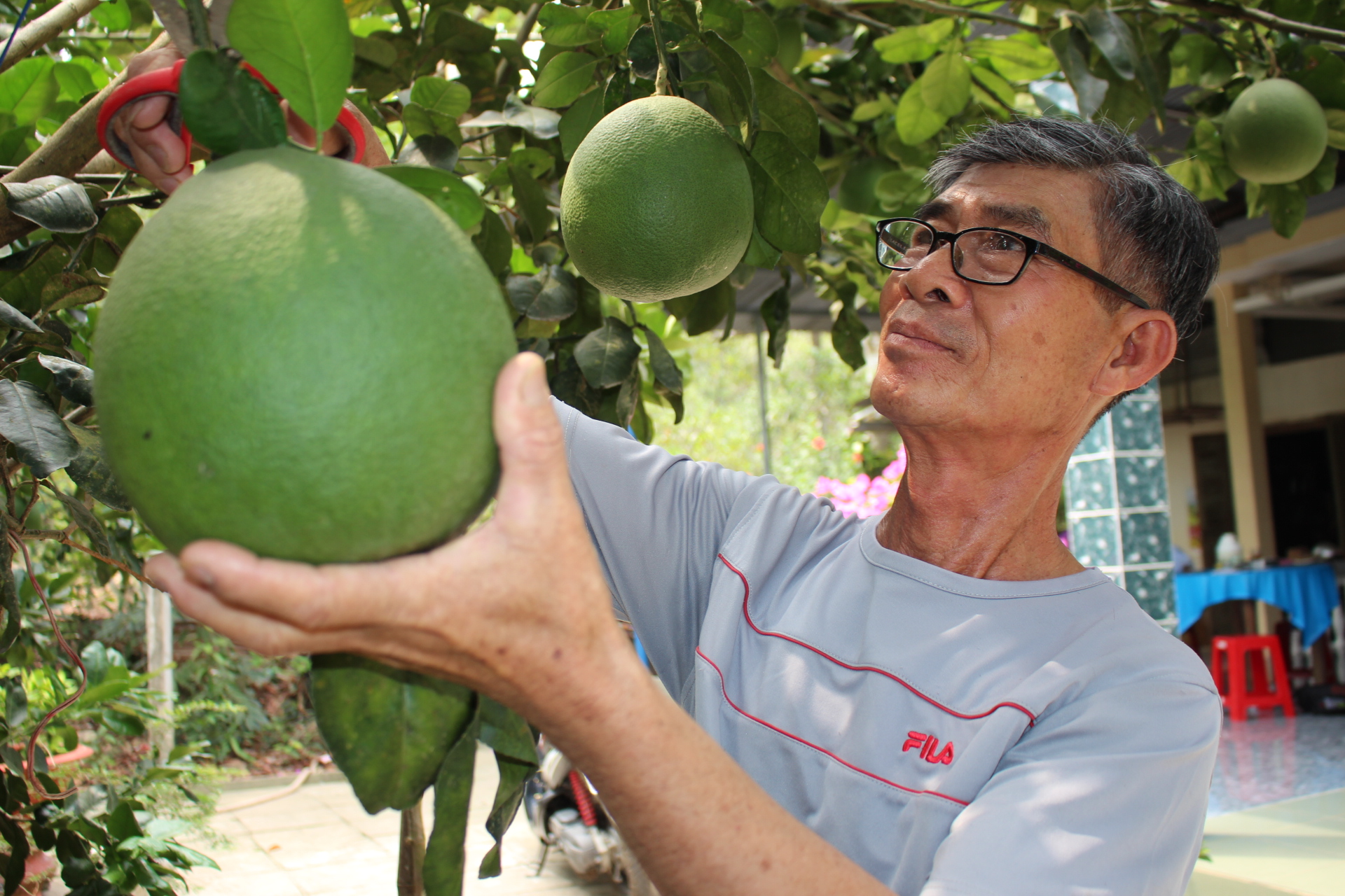 Doan Phu 3 (4)-10-2-2021-h.JPG