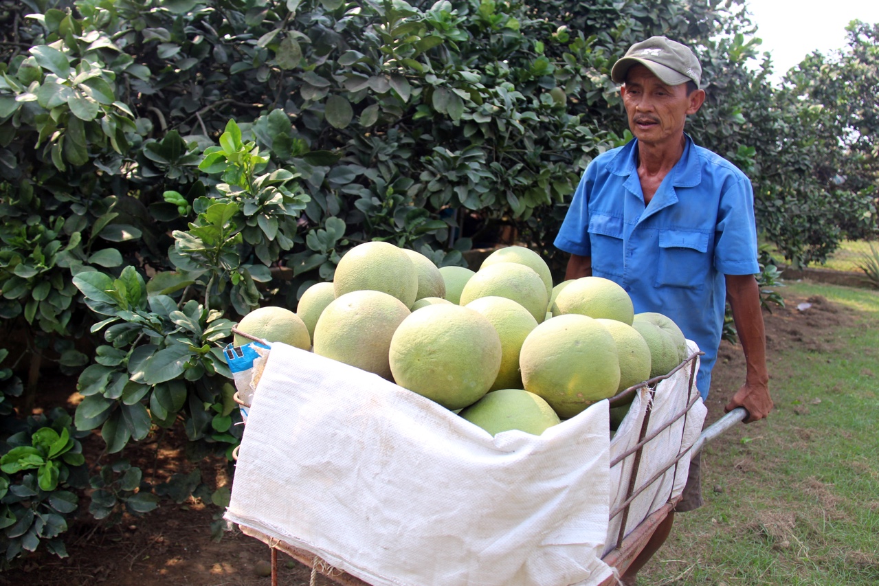 p.dieuchinh.jpg