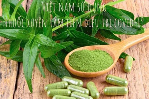 10.8 Quản lý thị trường thuốc trong đại dịch-1.jpg