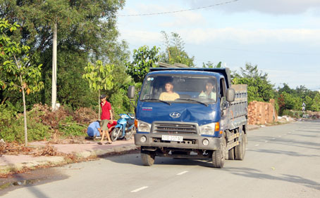 qua ngot.jpg