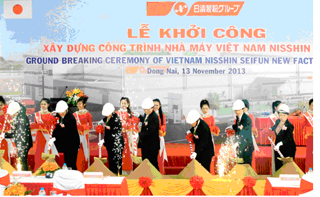dongnai 13.bmp