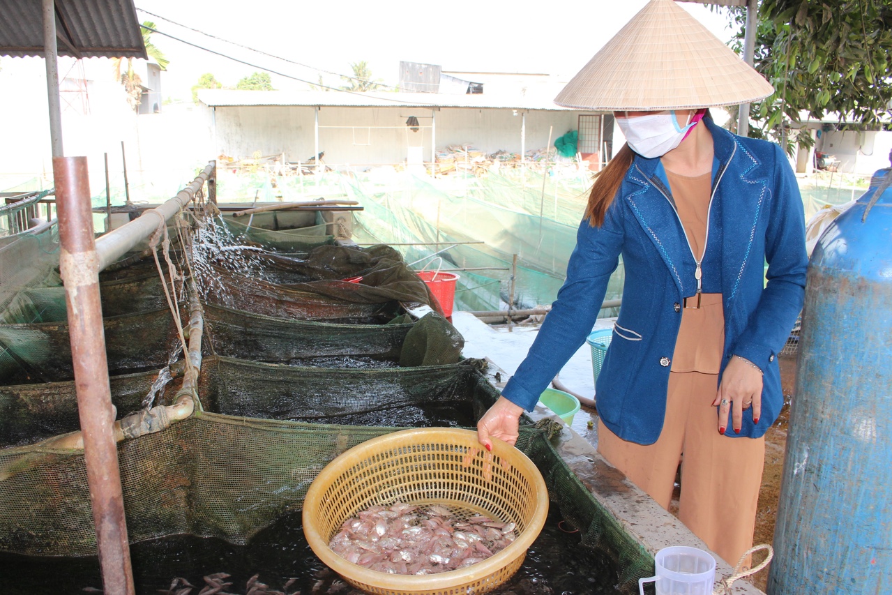 Thủ phủ cá-17.04.jpg