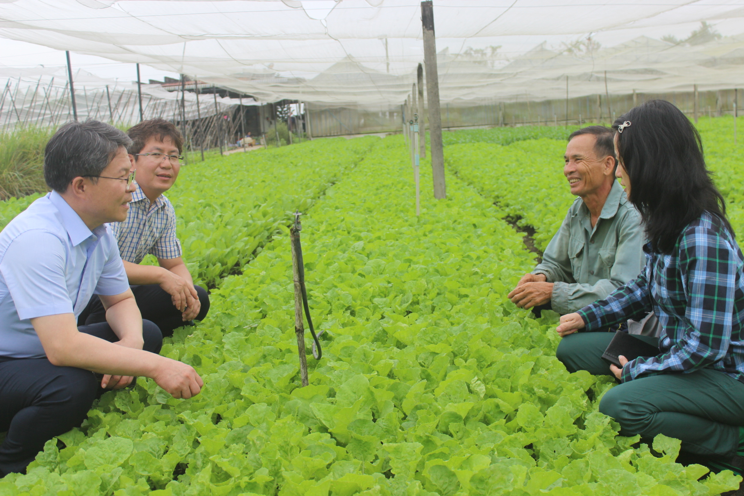 9.10-H2 Tin phát triển cây rau.jpg