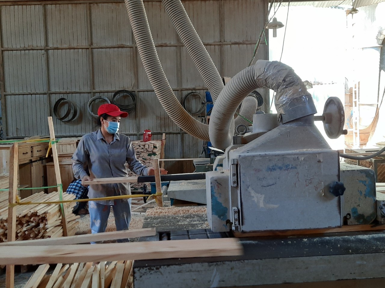 19.11-H1 Ngành g.jpg