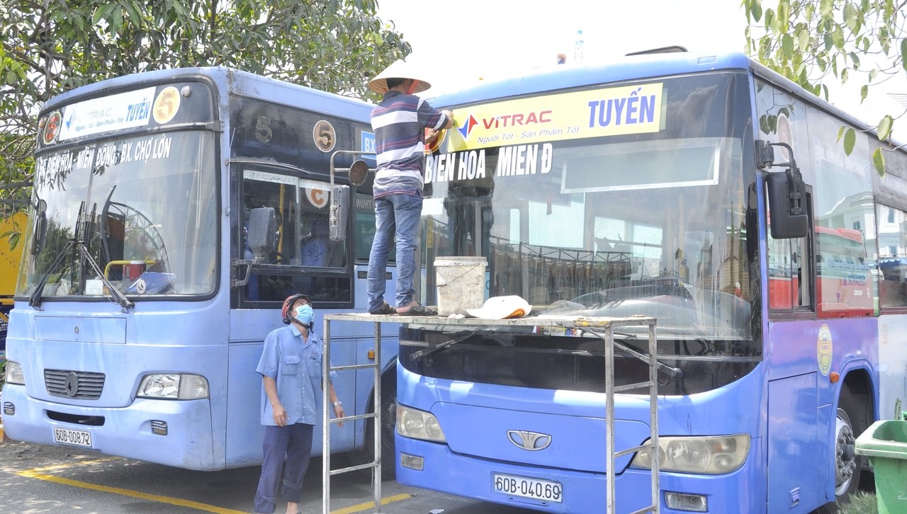 p5.jpg