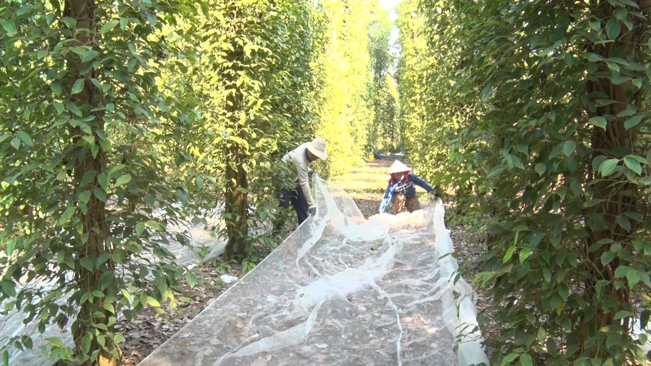 p06.jpg