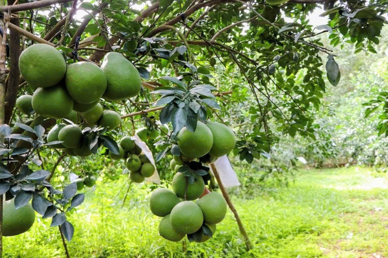 gen h z7455434917649 19e40484f2ea4a052c890bd98536dd70