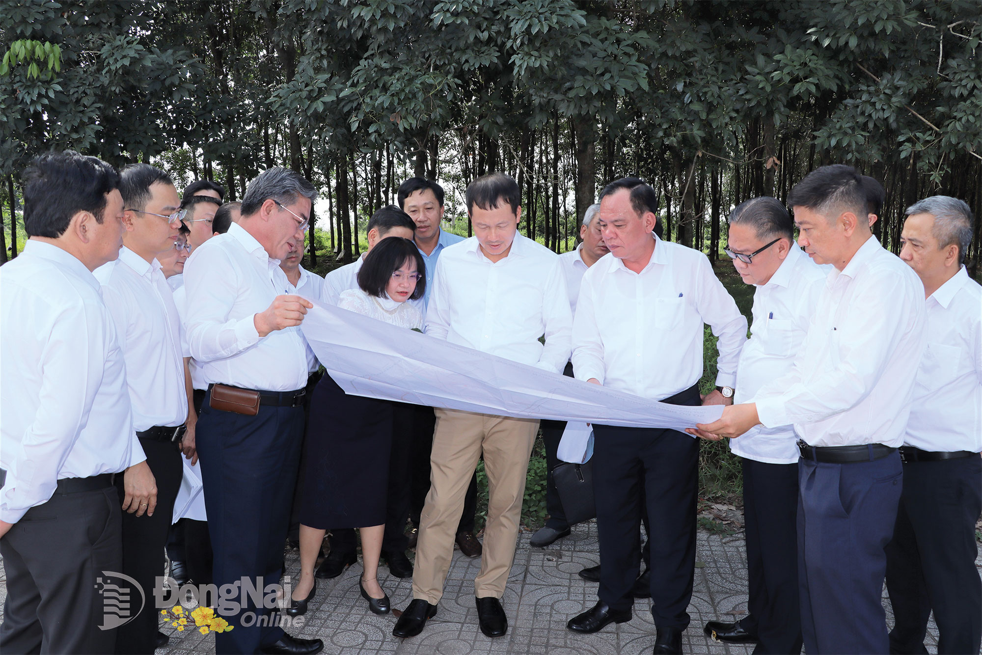 40 41b 20260216163709