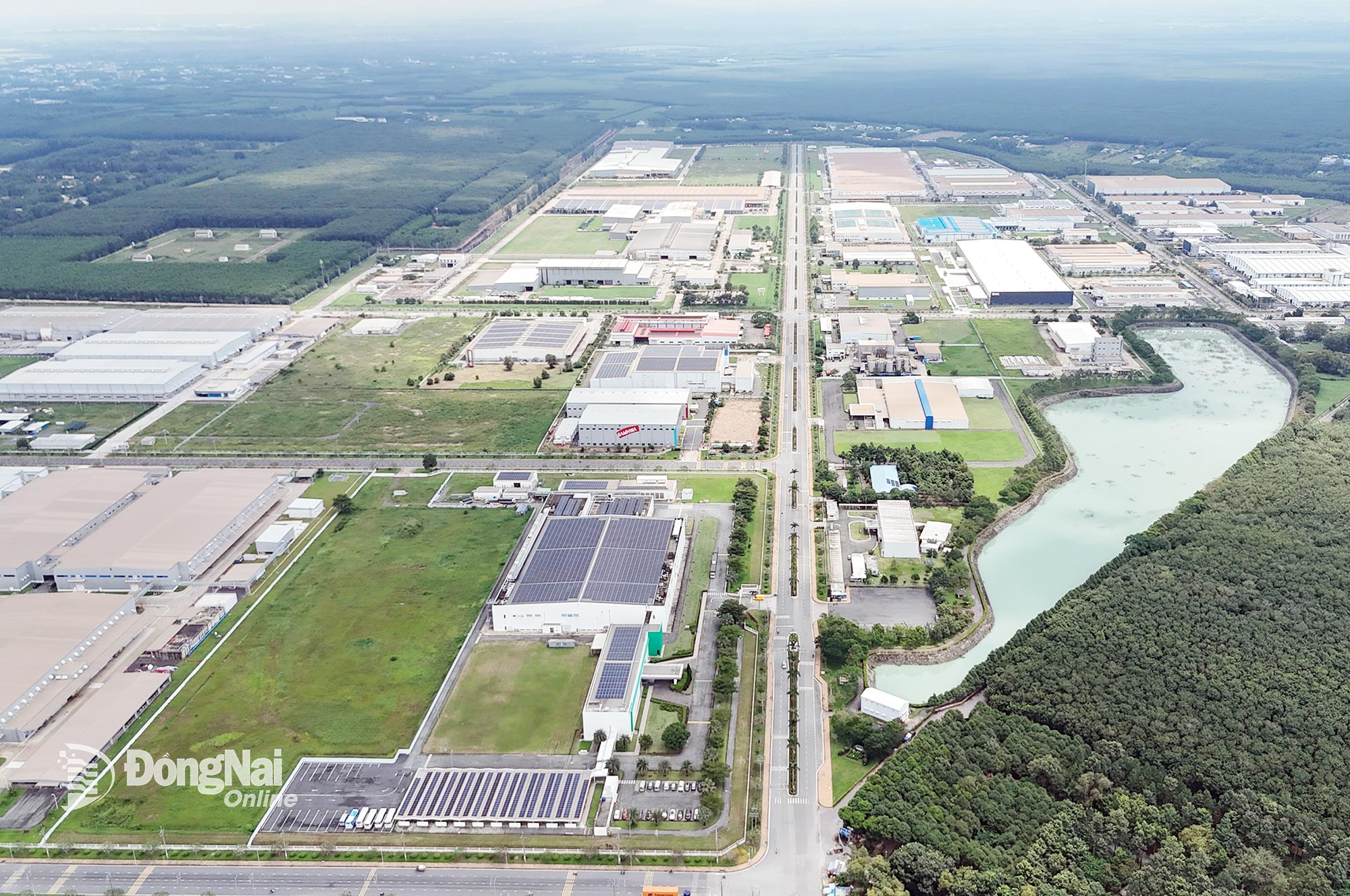 44 45d 20260207143756