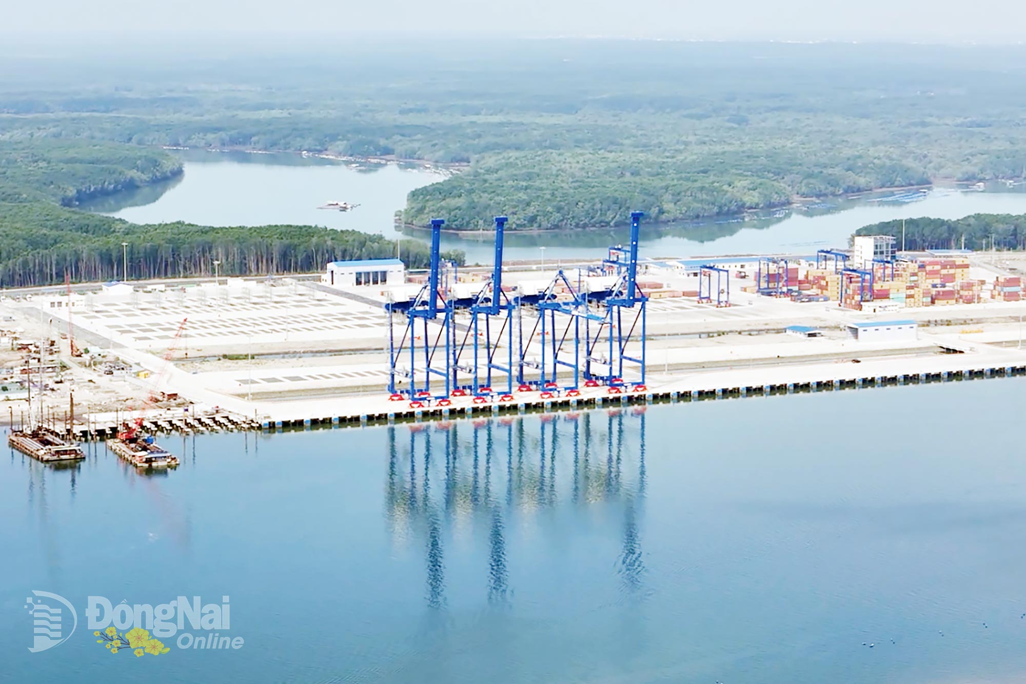 46 47a 20260218151209