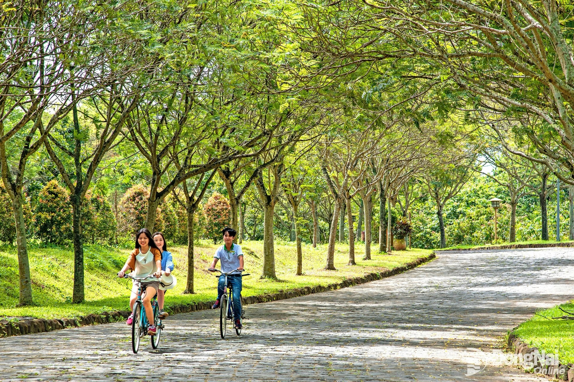 037 nang he le huu thiet 20260330114828 20260330122755