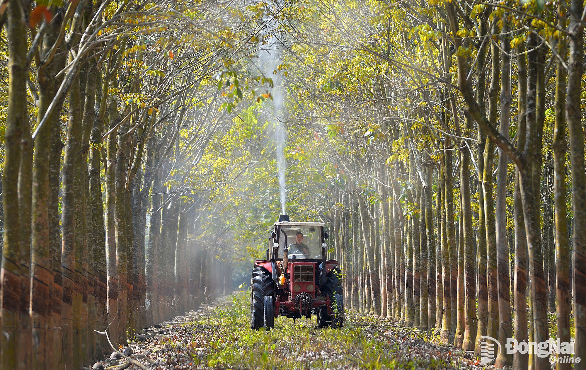 14 20260330114742 20260330122733