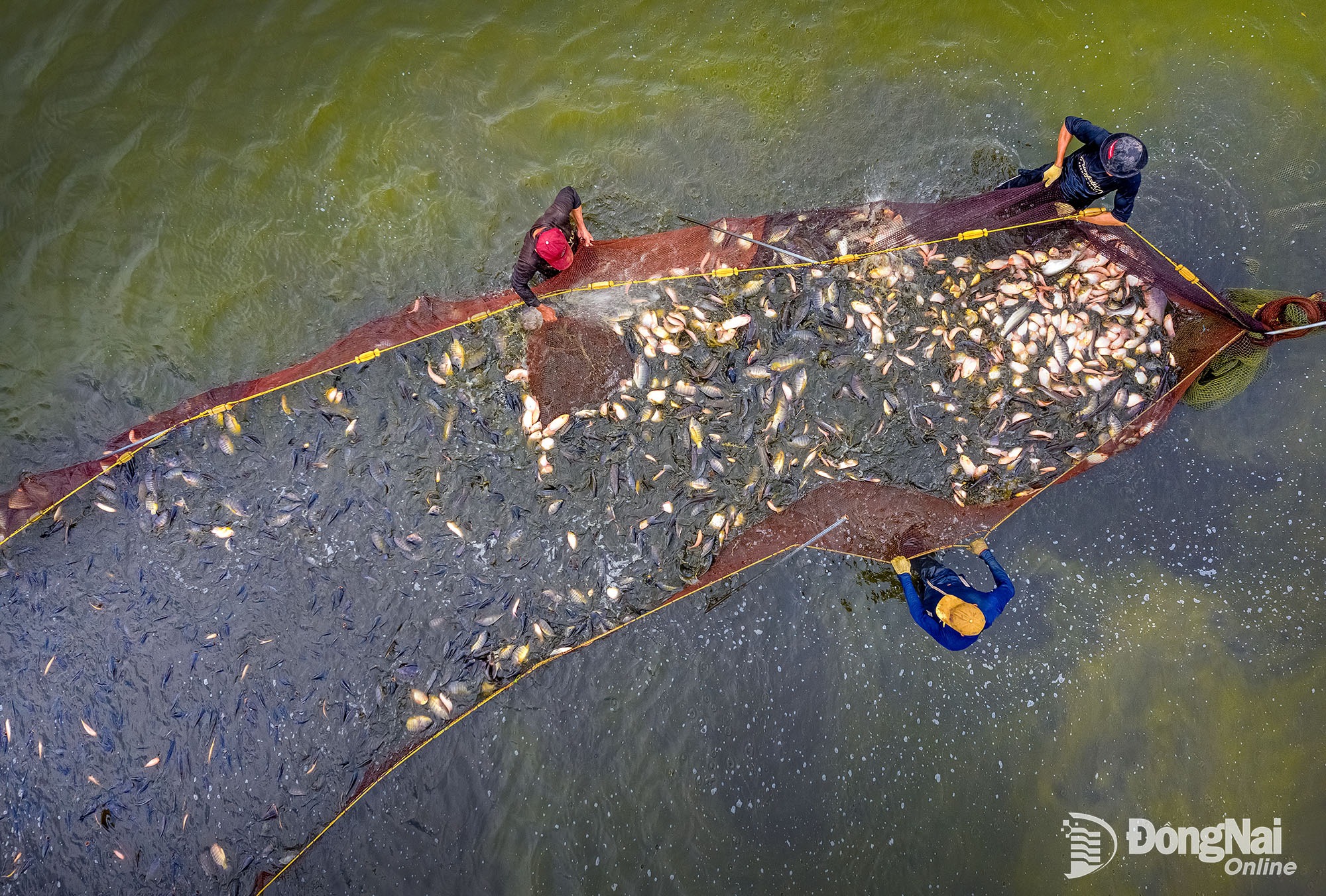 15 20260330114804 20260330122746