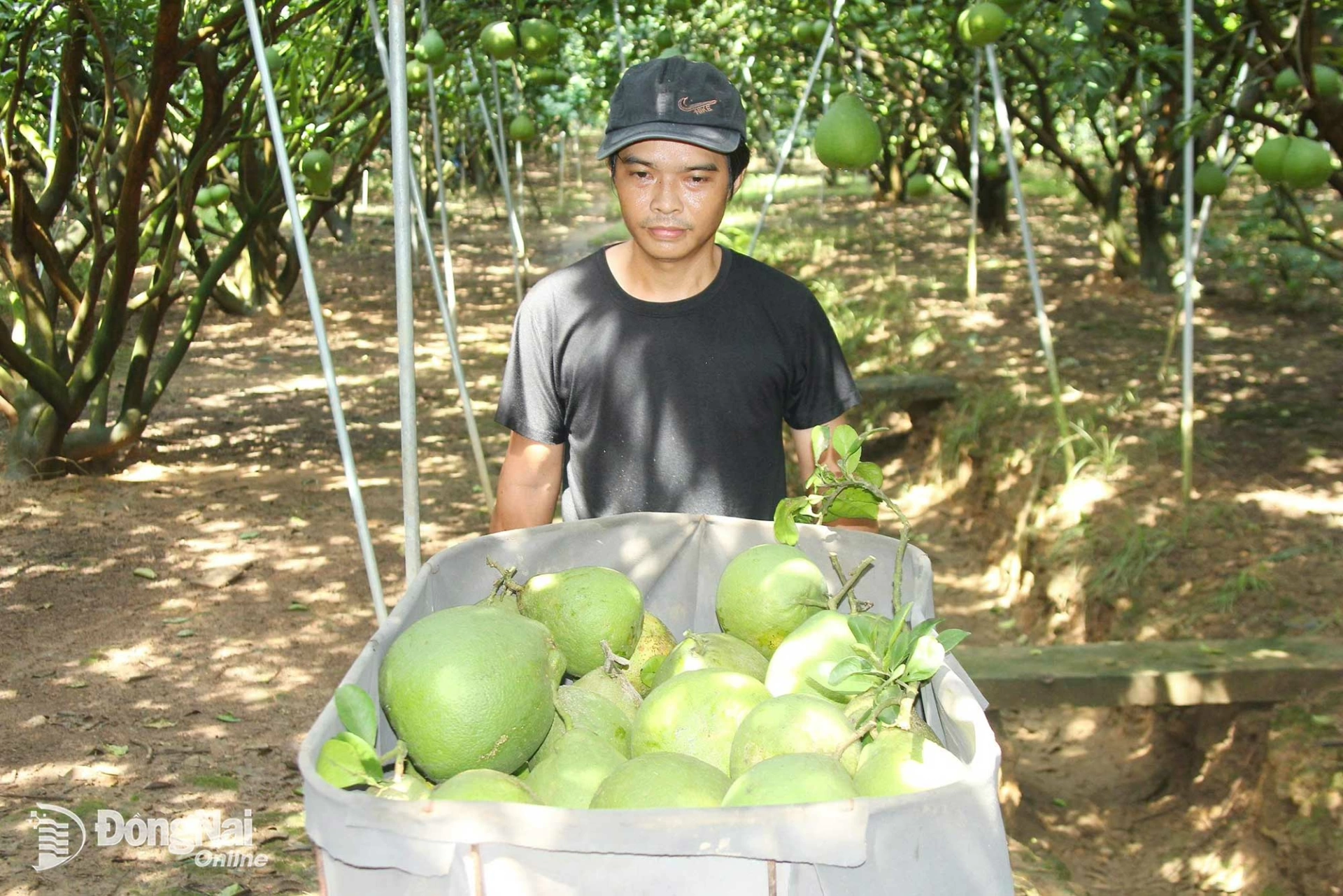 z7672820248059 250b6efaaf1930e0dfcd23ddbf7ea22c 20260331200842 20260331222842