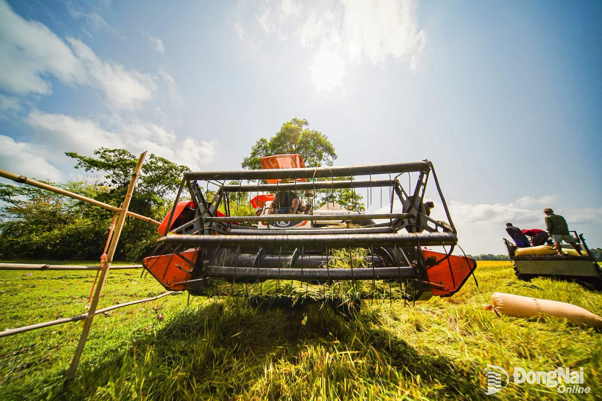 nong dan tan phu thu hoach lua bang may gat dap lien hop 20260331150638 20260331180904