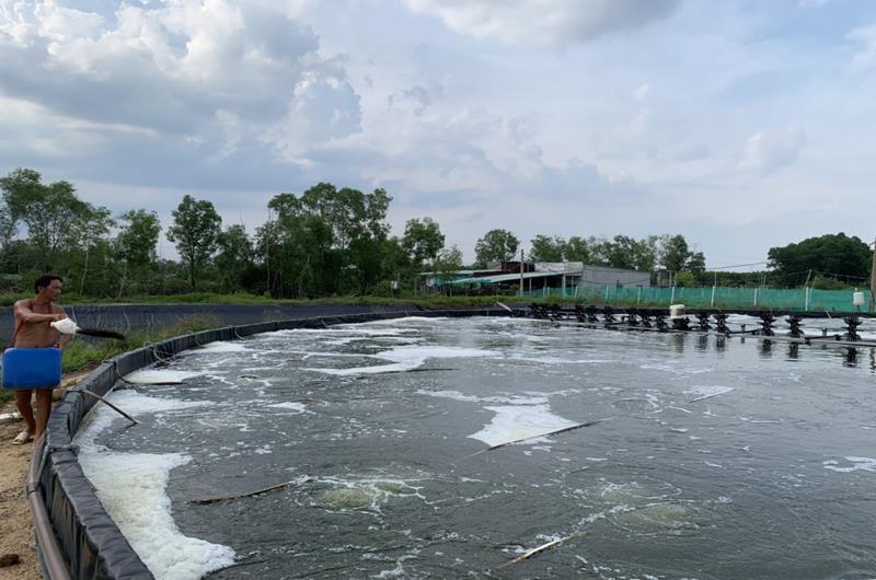 hinh 050922.8.jpg